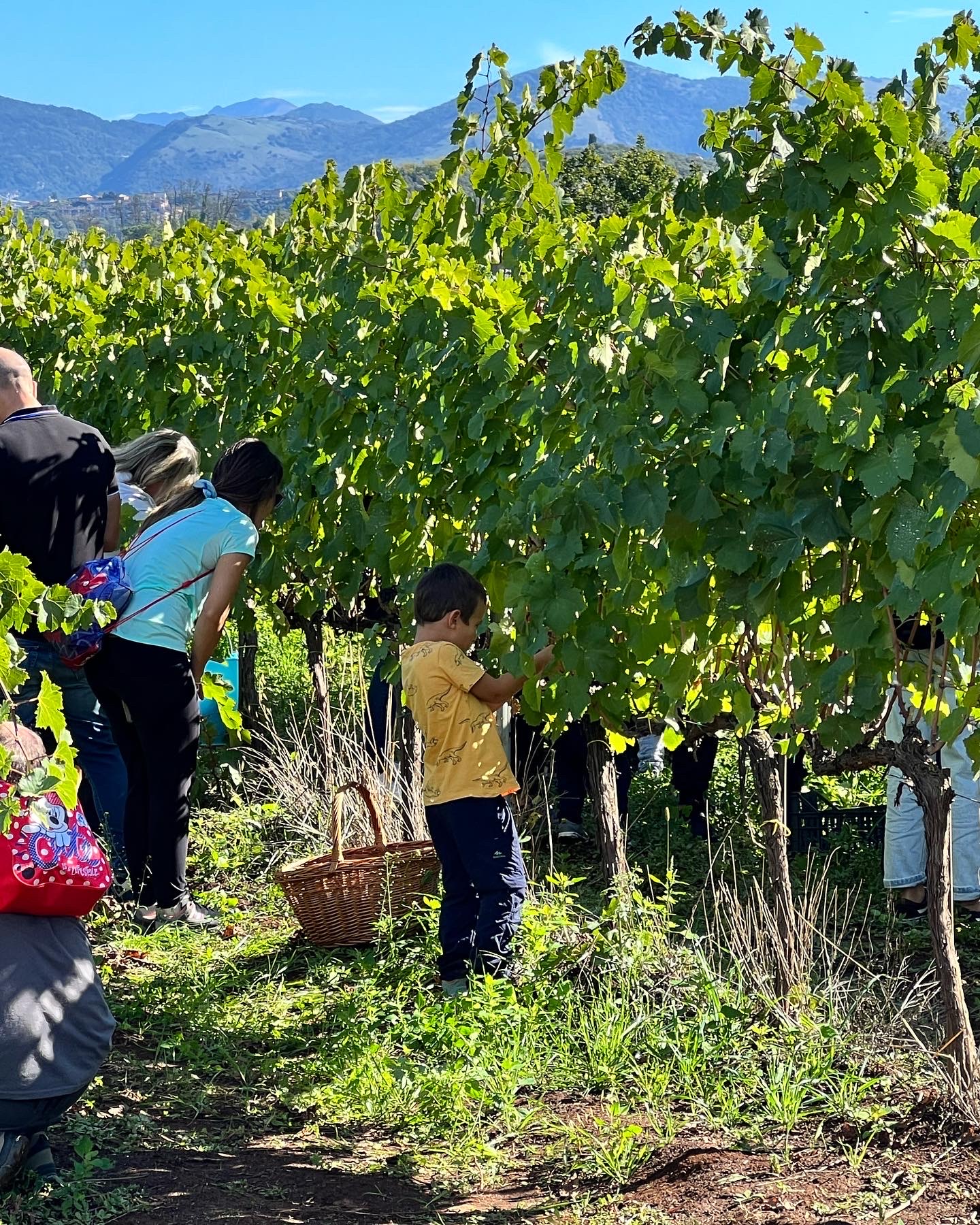  Le Bianchette Agriturismo e Fattoria Didattica ,  Sommacampagna, Itália - 101 Avaliações dos hóspedes . Reserve seu hotel  agora mesmo!