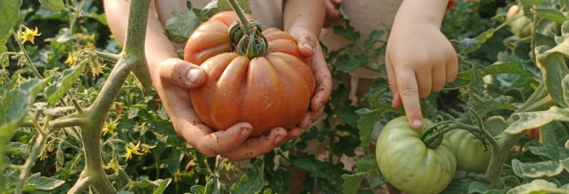 fattoria didattica